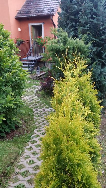 Noclegi U Andrzeja Duszniki Zdroj Exterior photo